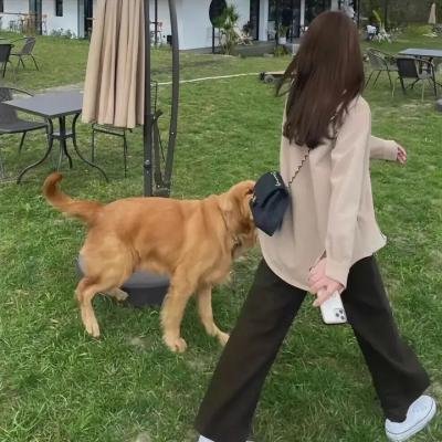危红禁色